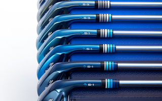 Mizuno Pro Iceberg Irons