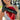 Groove Cleaners