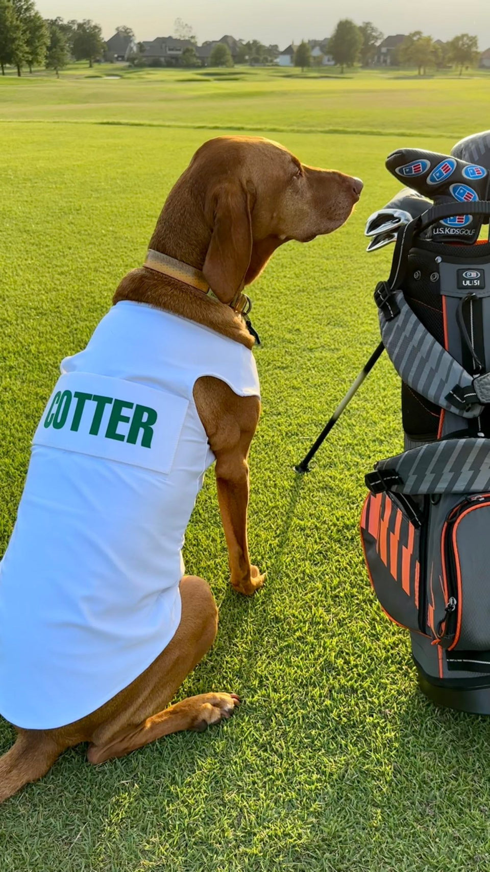Caddie Uniform Dog Caddie Bib Fairway Jockey Apparel