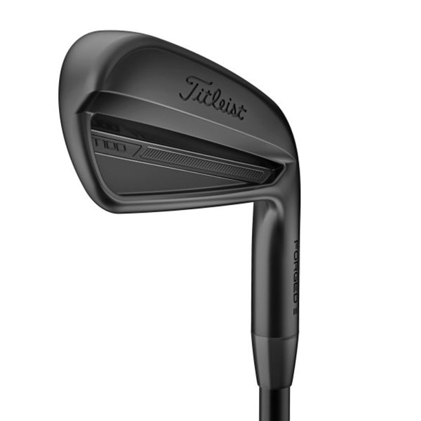 Titleist T100S 2019 steel fiber 95i 5番 BlackT100_600x.jpg?v=1737484995