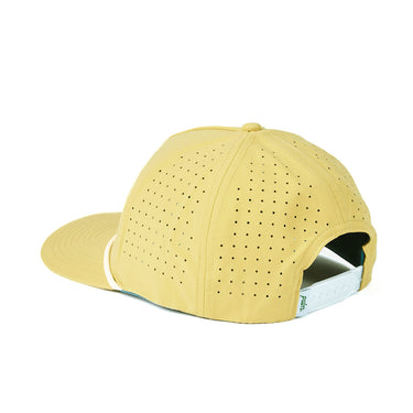 Coast to Coast Snapback