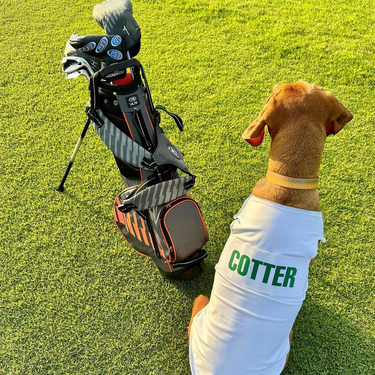 Caddie Uniform Dog Caddie Bib