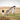Trouper - Fescue