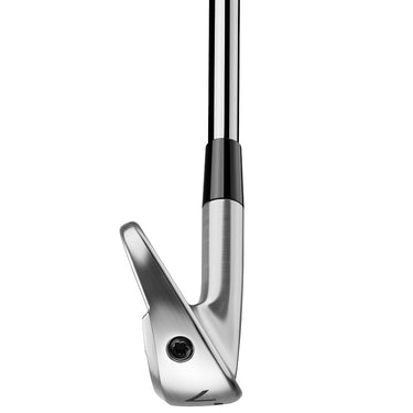 TaylorMade P770 Custom Irons