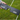 Tour Aim Training System